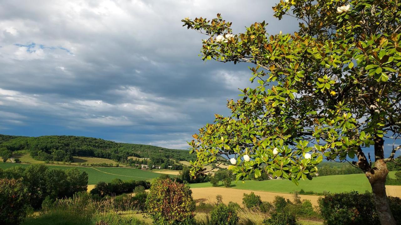 Manoir Le Moulinal47 - Vue Panoramique Hotel Courbiac Luaran gambar